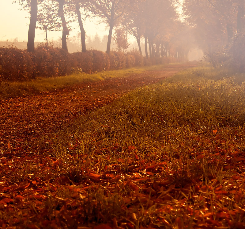 [Contest 67] - "I colori dell'autunno"