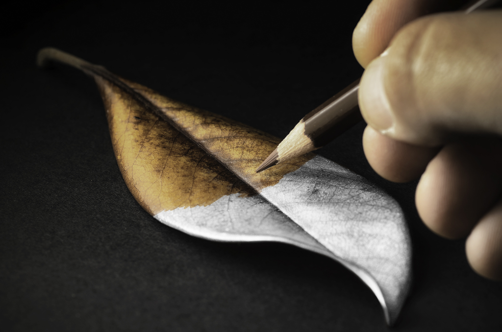 Colorare...d'autunno