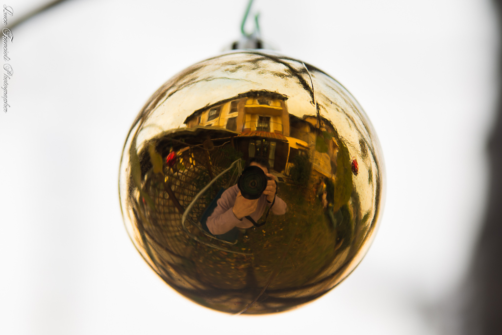 Il mondo dentro una palla di natale