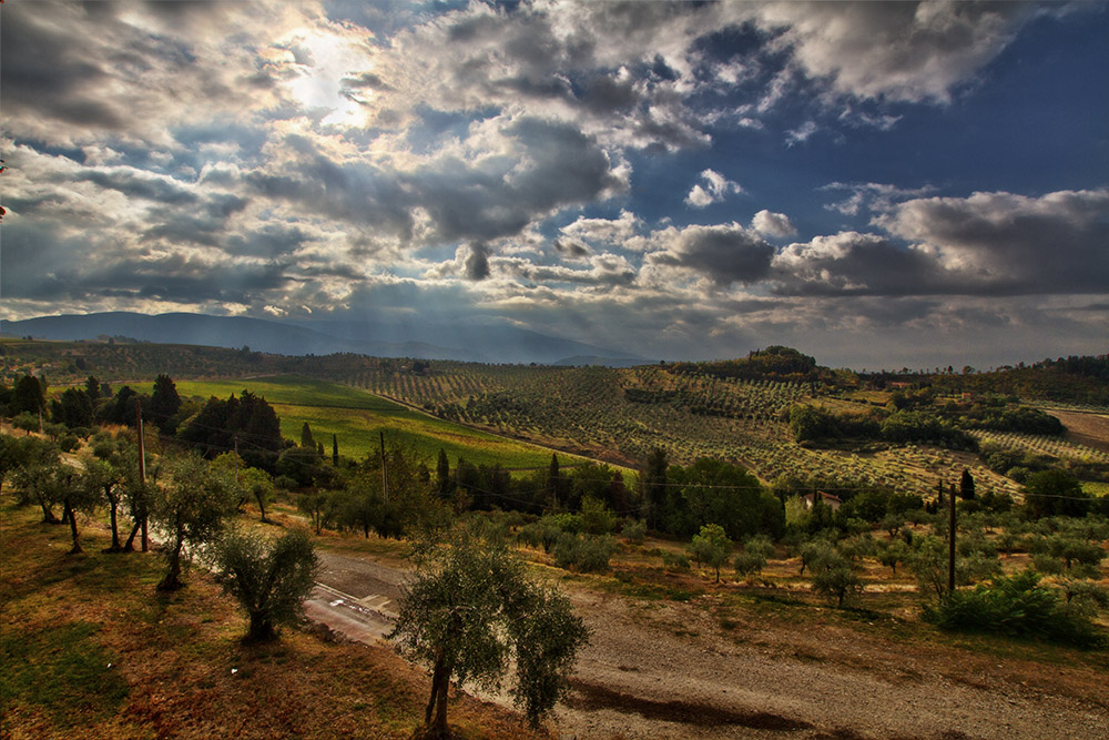 la campagna di nipozzano