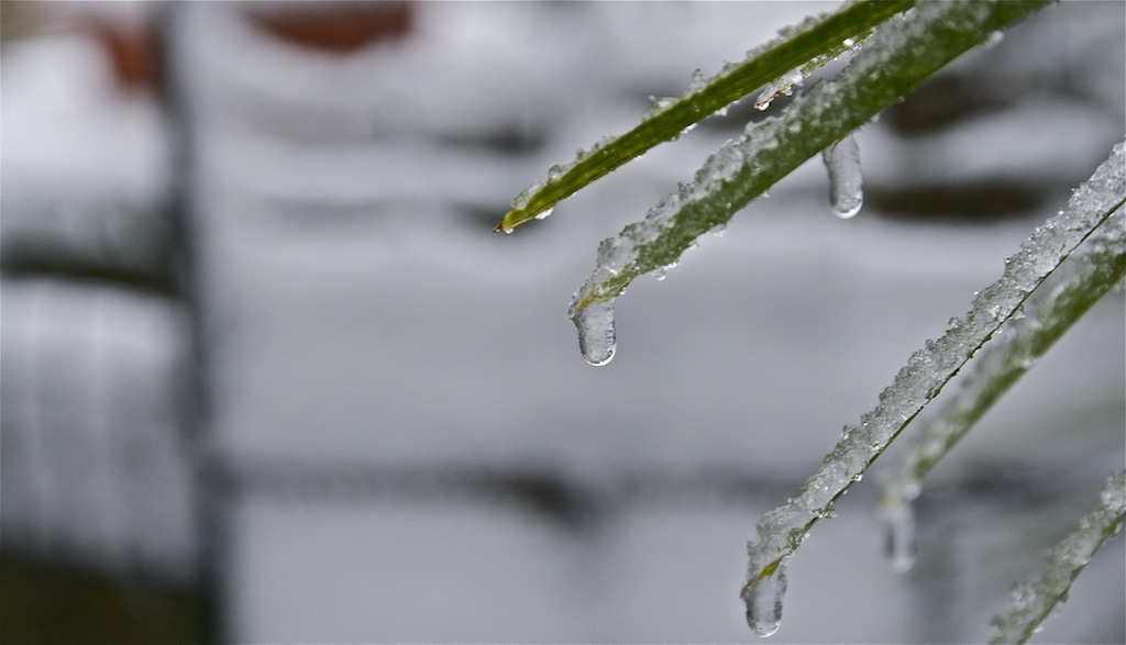 Il senso della neve...