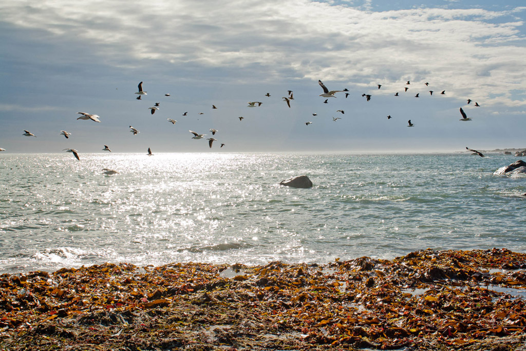 West Coast National Park