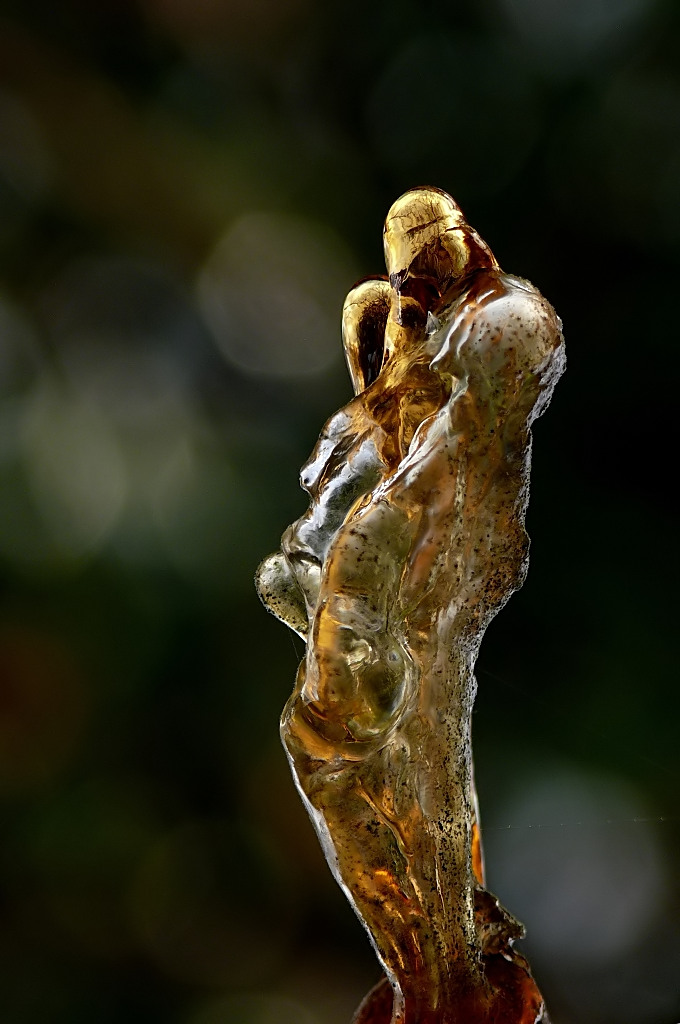 *** La natura scolpisce ***