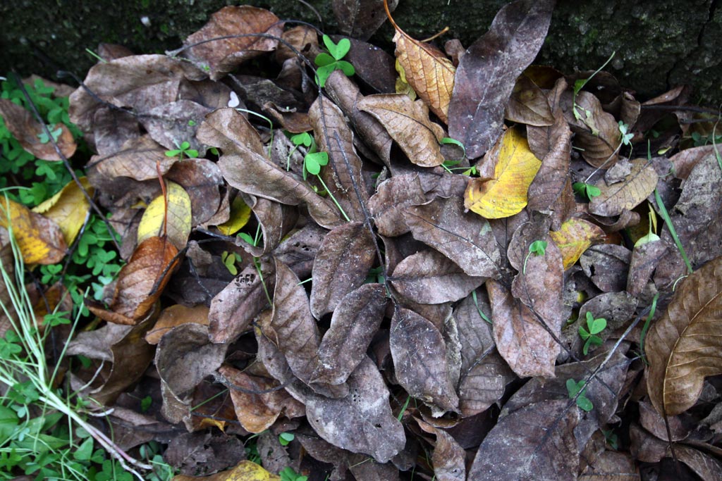 "...dolcemente, senza far rumore..."