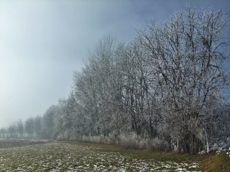 La nebbia si dirada... e lascia la sorpresa!
