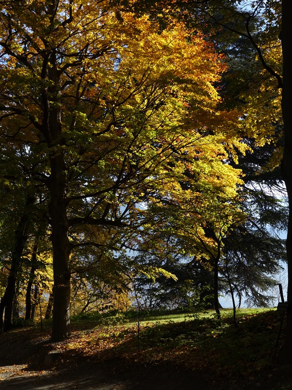 Autunno (solito2)