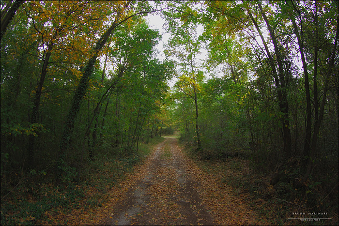 Oramai l'Autunno � all'ultimo giorno
