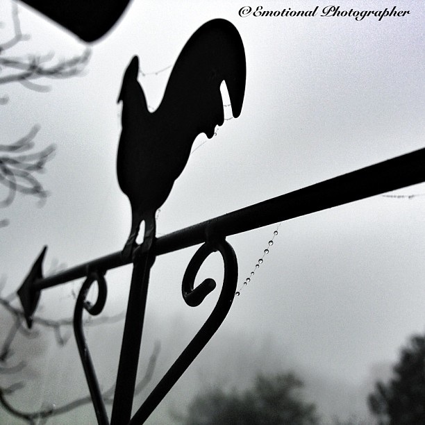 Verso Nord??? - Iphonography