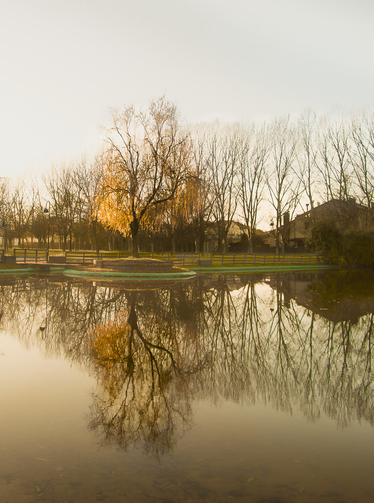 Riflesso sul laghetto