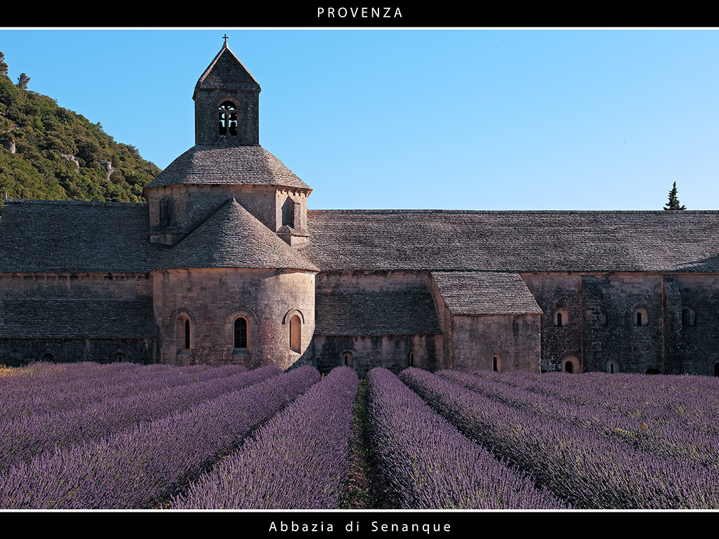 Provenza # 21 - Abbazia di Senanque