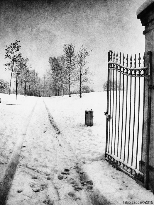 :: MAGANA ... a due passi da me.