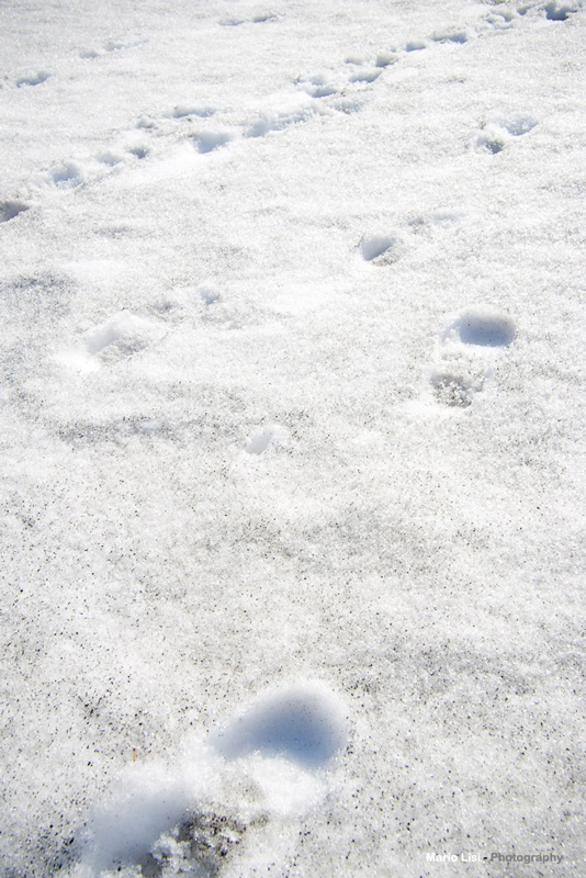 Luci, ombre e volumi alle falde di Mongibello