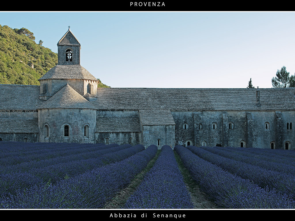 Provenza # 22 - Abbazia di Senanque