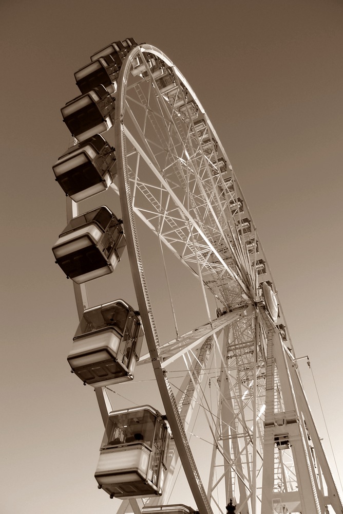paris roue