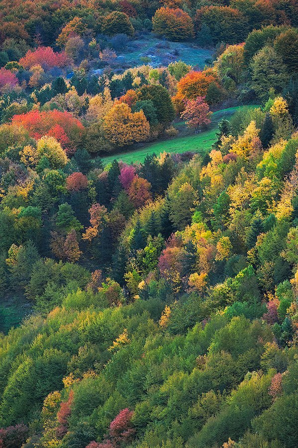 i colori dell'autunno