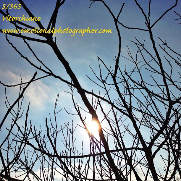 5.365 - IPHONOGRAPHY PROJECT