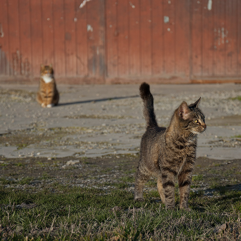 quando finisce un amore