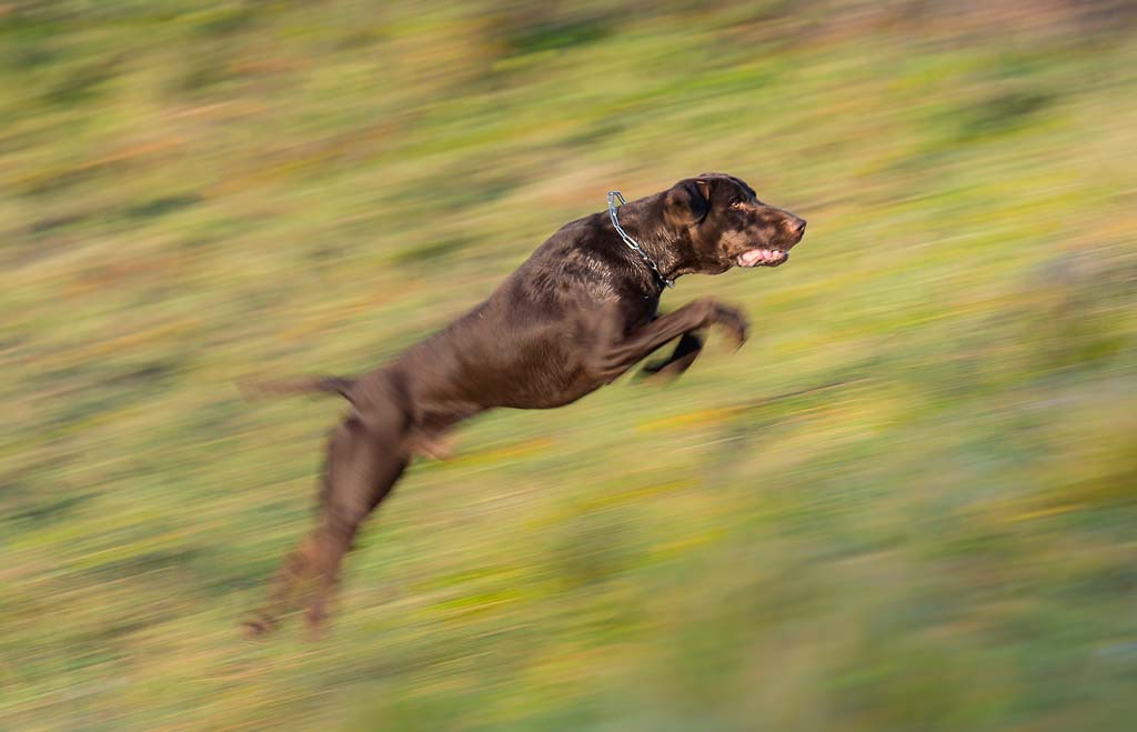 messa a fuoco fulminea