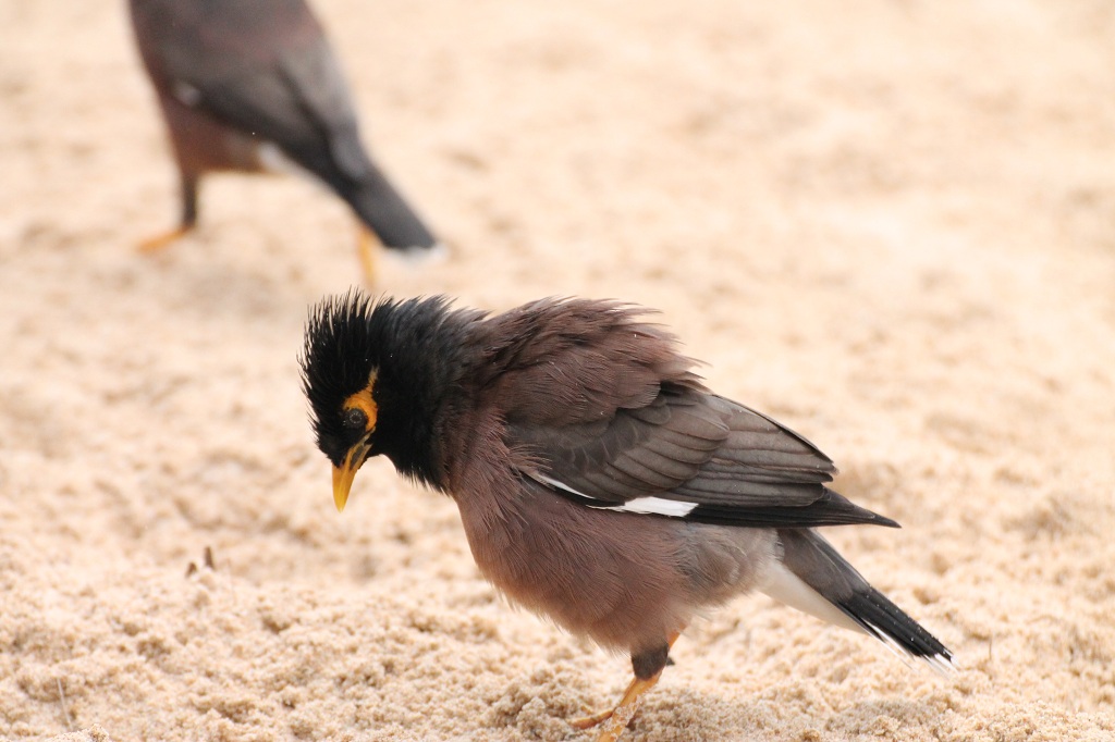 pioggia sulla spiaggia