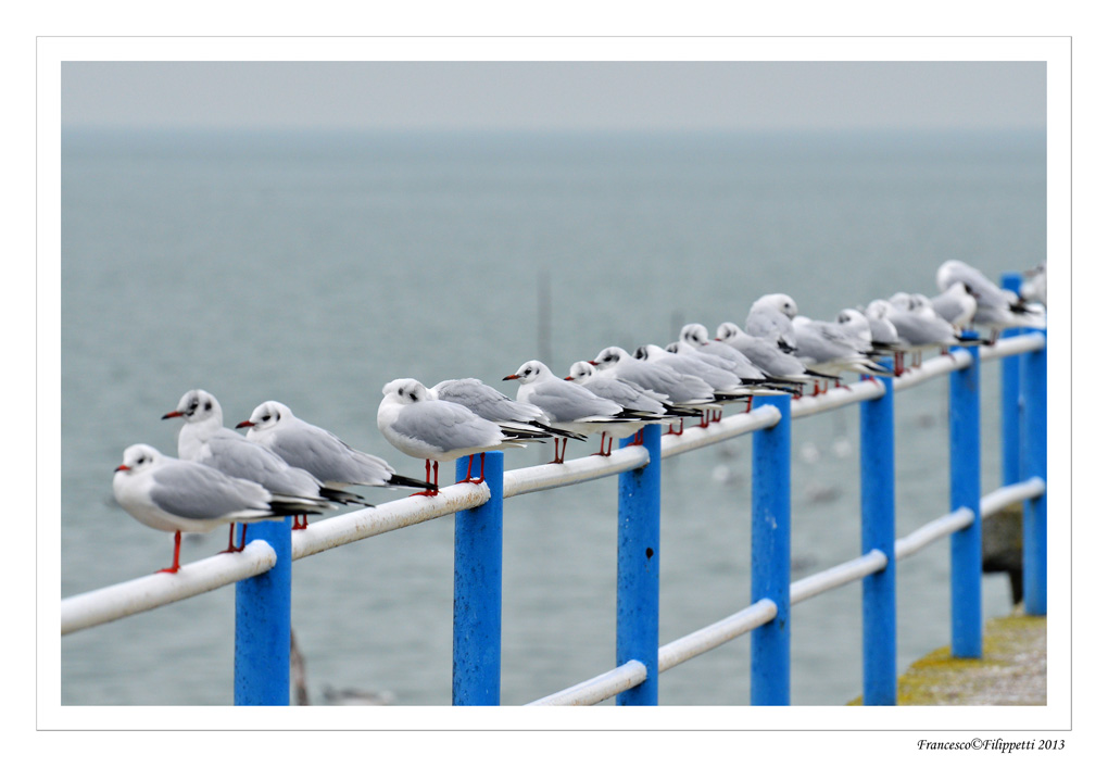 Che noia l'inverno !