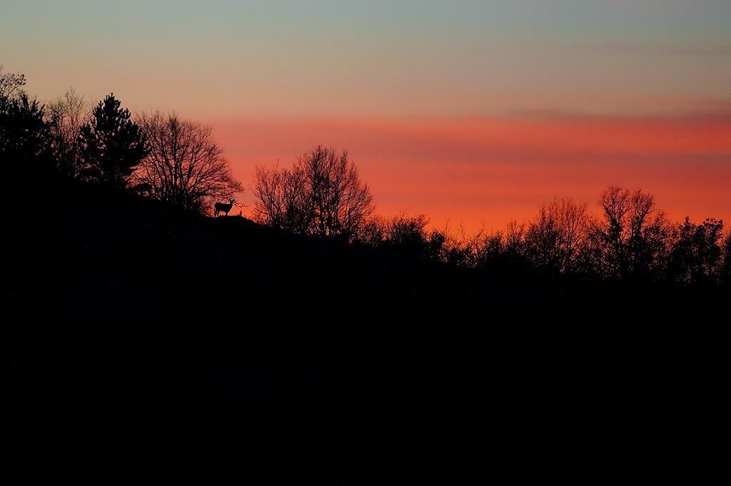 Nell'emozione di un tramonto, ti accorgi che qualcuno ti guarda - Parco nazionale della Majella
