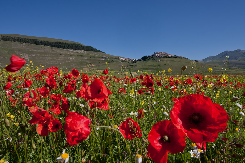 Castelluccio 4