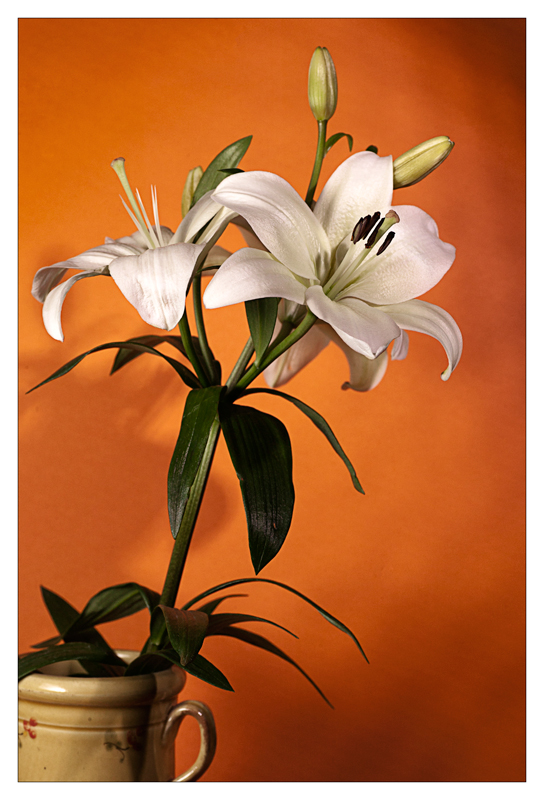 Particolare pre post