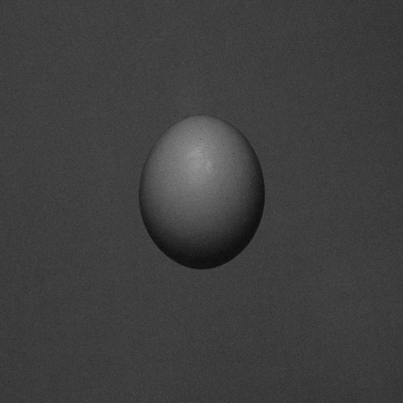 egg