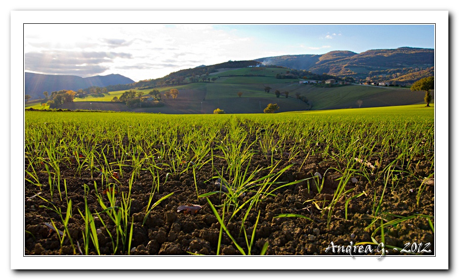entroterra marchigiano