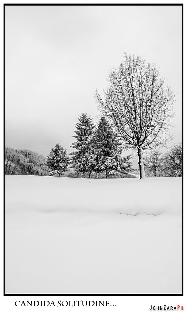 Candida solitudine...