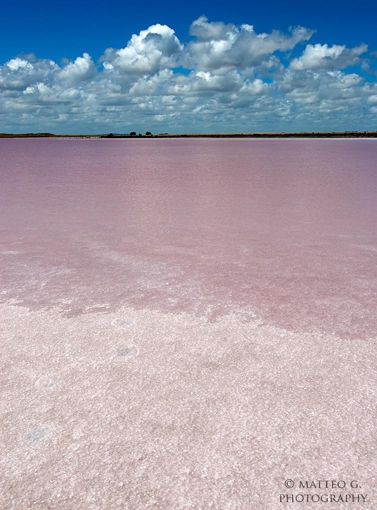 Pink lake 3