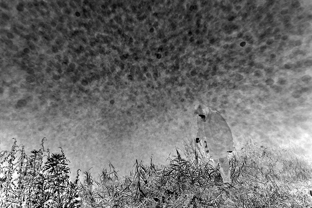 Io e la nebbia � 2013