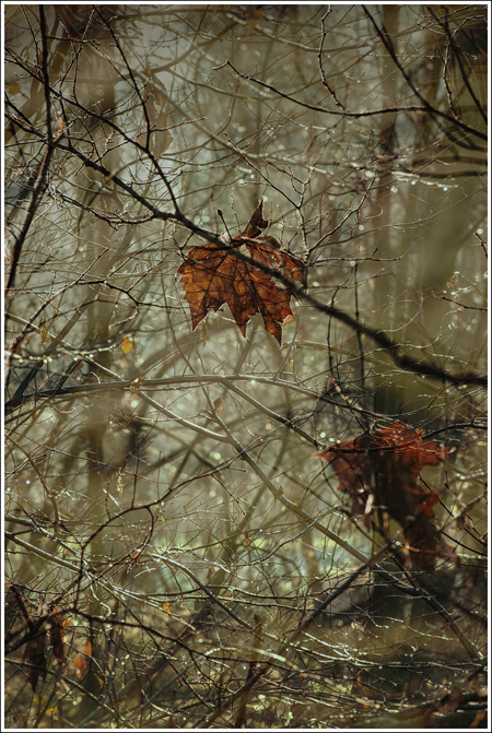 Sospese per non cadere...