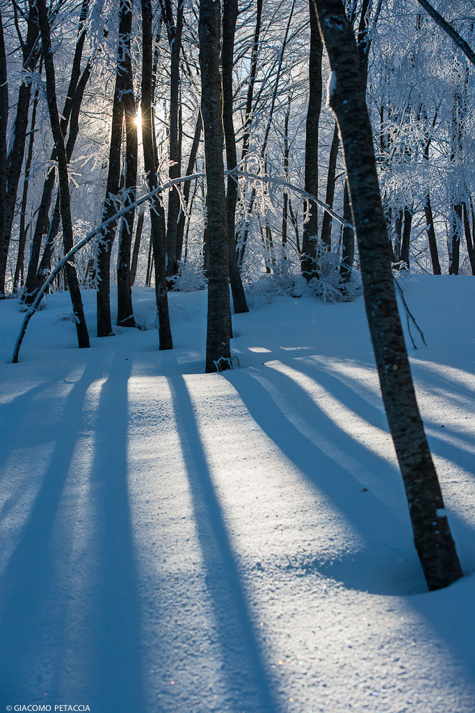 controluce