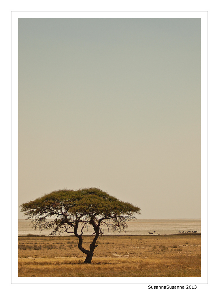 Etosha pan