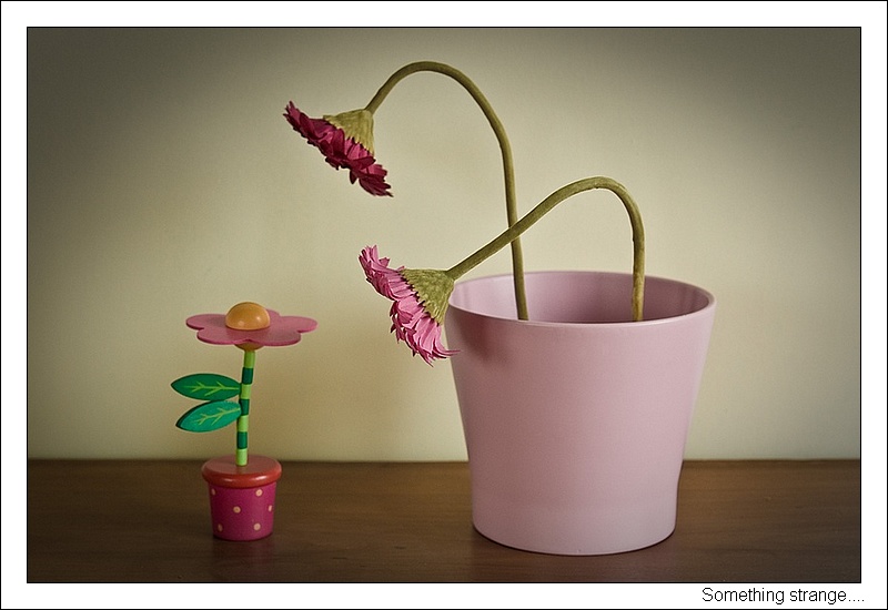 Something strange....