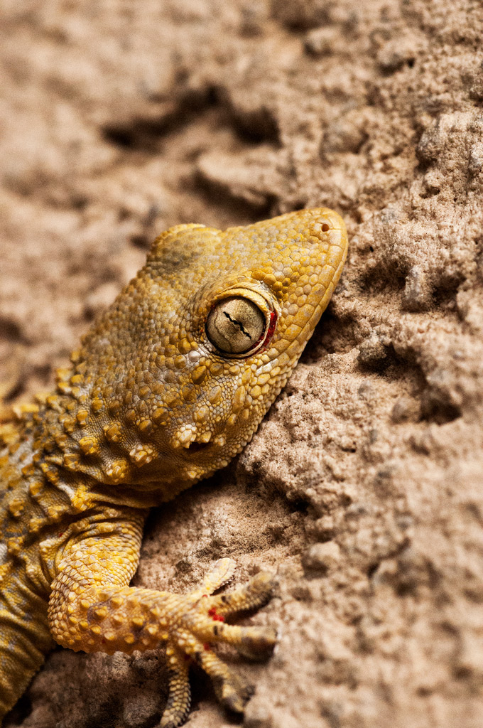 c'� vita dietro la scarpiera