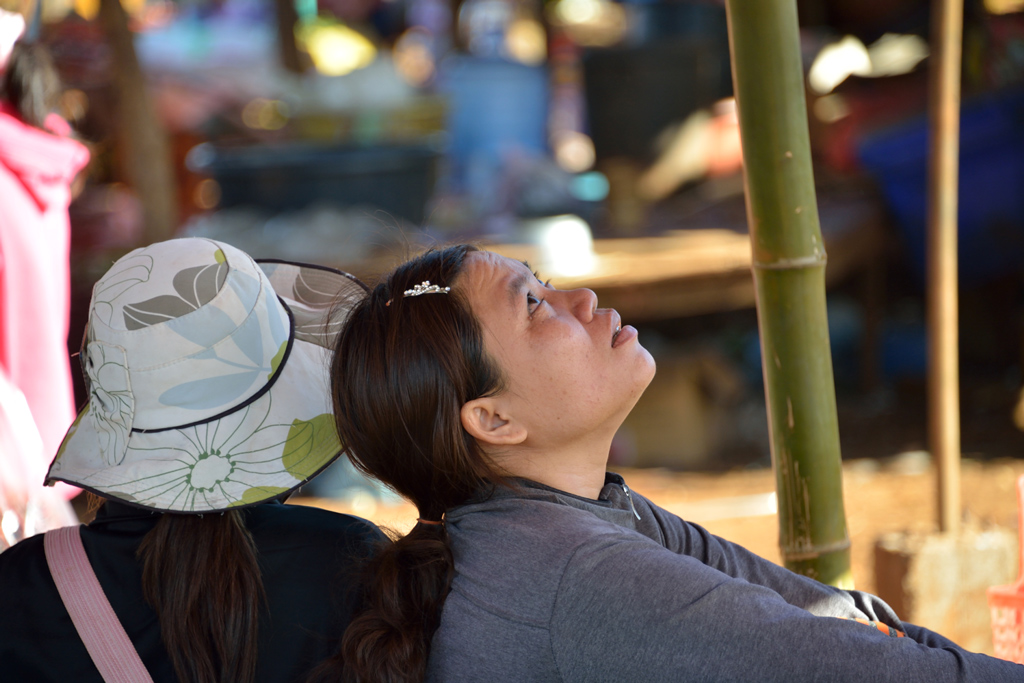 Lass� qualcuno ci ama?