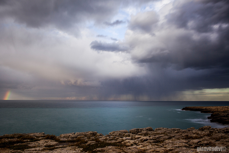 ad un tratto...un po di colori!!!