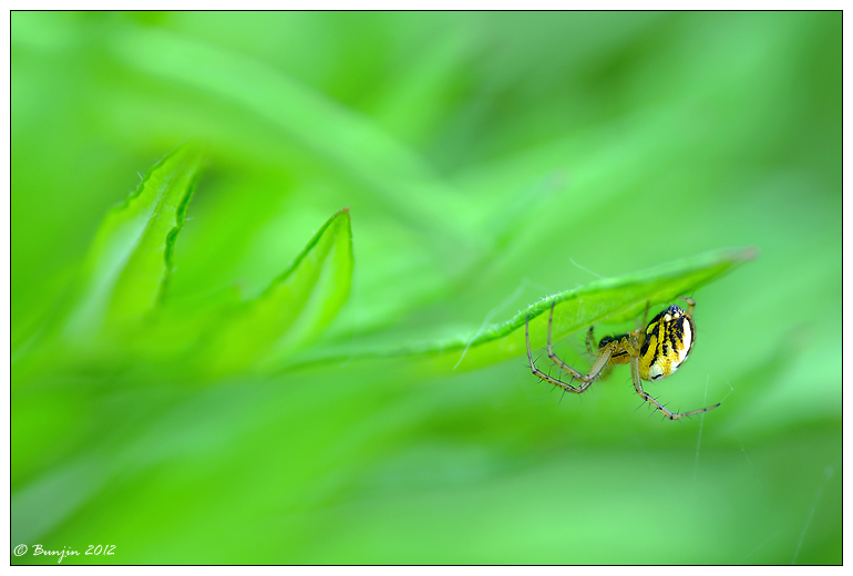 Dai giochiamo a nascondino