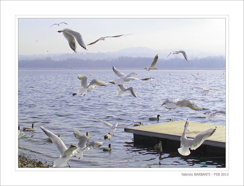 Lido di Schiranna (Varese)