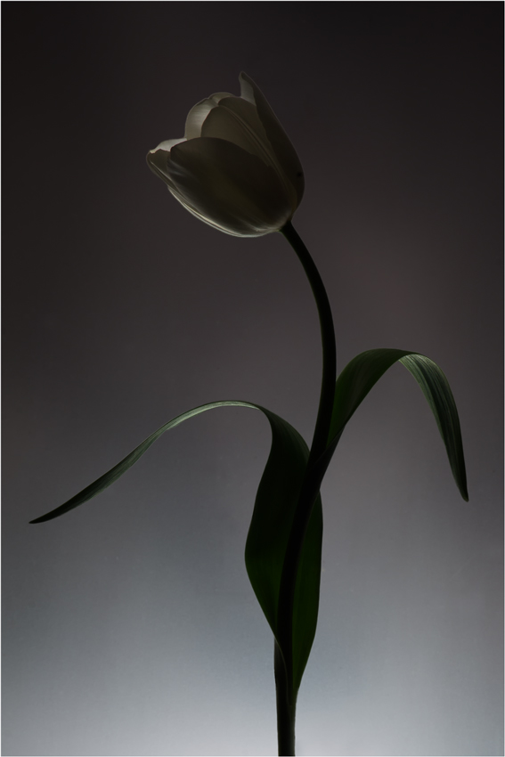 Eleganza e rffinatezza...