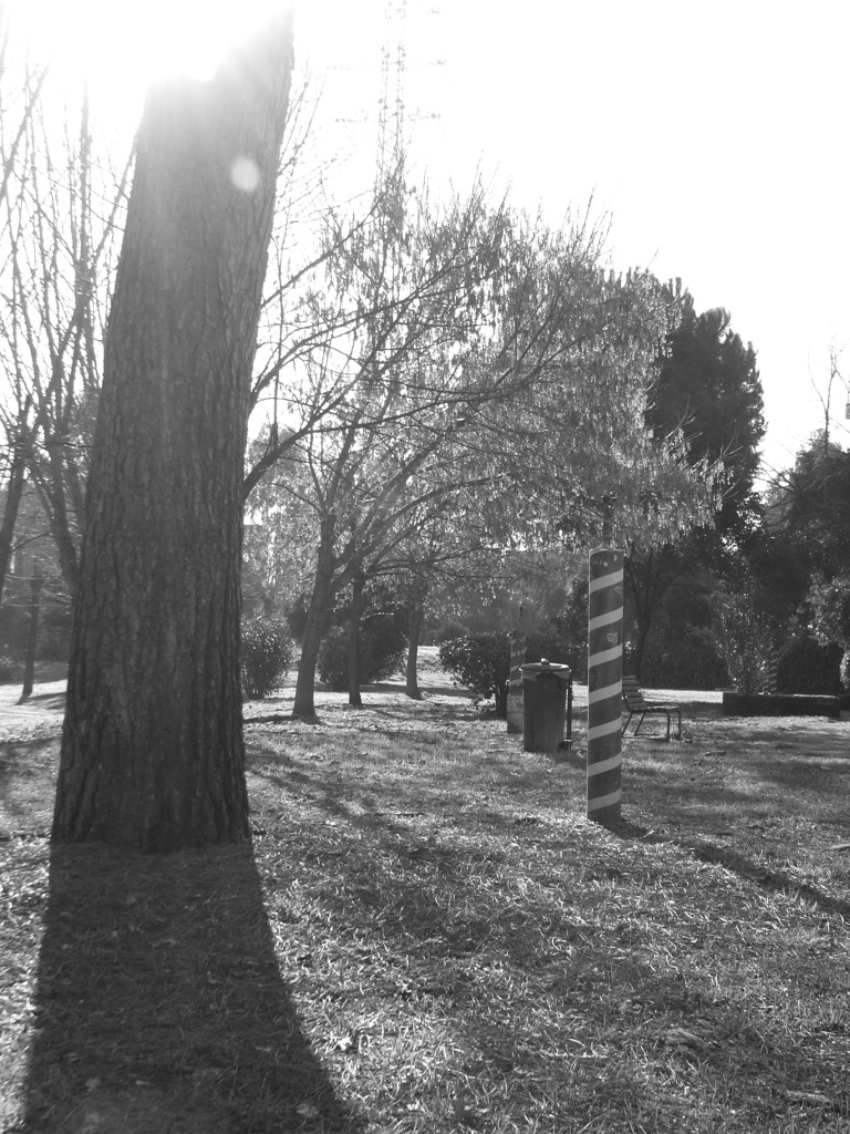 primi scatti con la s5500 controluce