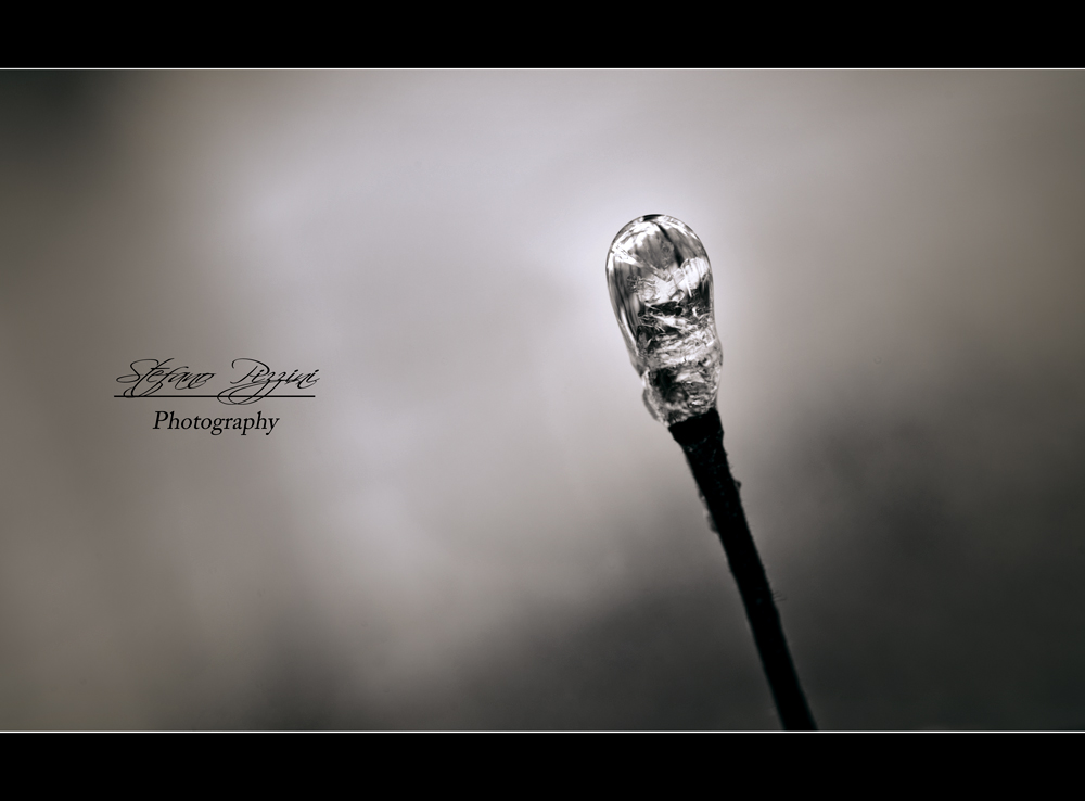 Fiammifero Congelato?...