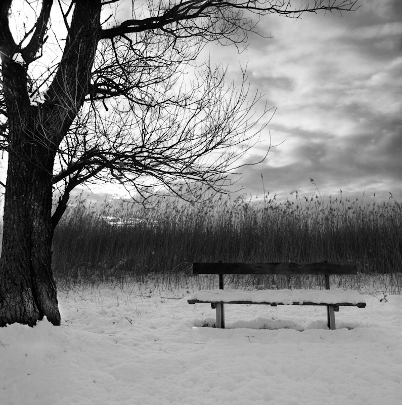 Panchina di pomeriggio con neve