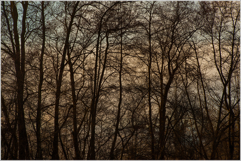 Limiti invalicabili...