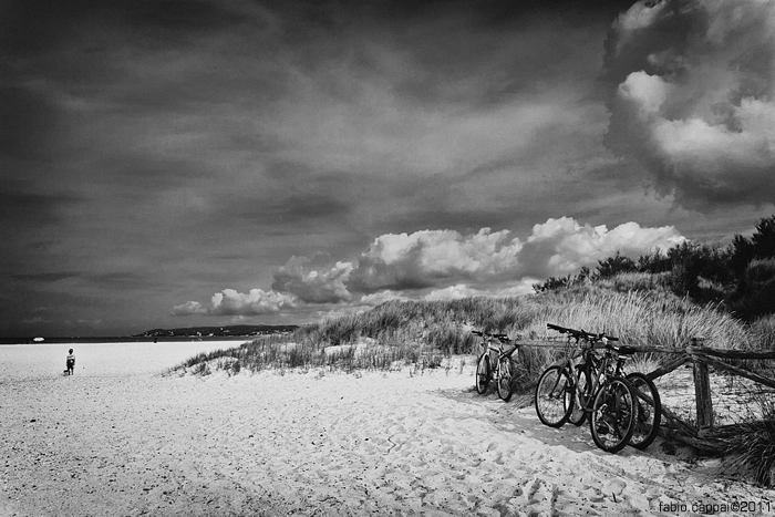 :: CECINA ...  [02-11]