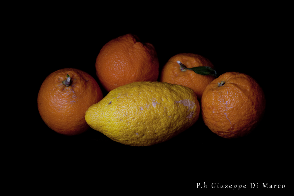 beato tra le arancie