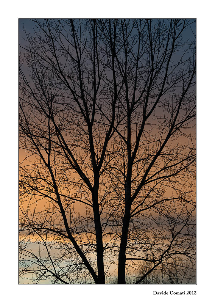 Sotto Mentite Spoglie