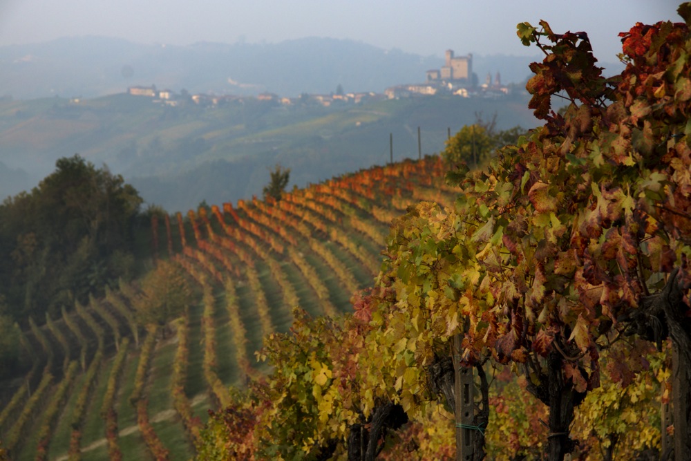 Langhe 2